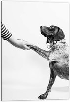 WallClassics - Dibond - Hond Geeft Poot Zwart - Wit - 60x90 cm Foto op Aluminium (Wanddecoratie van metaal)