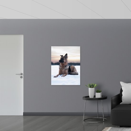 WallClassics - Dibond - Berger dans la neige - Photo sur aluminium 75x100 cm (Décoration murale en métal)