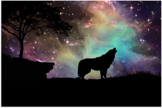 WallClassics - Poster (Mat) - Silhouette d'un loup dans un ciel étoilé - 75x50 cm Photo sur papier poster avec un aspect mat