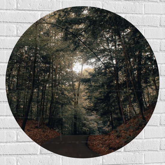 WallClassics - Muursticker Cercle - Chemin à travers la Forêt - 90x90 cm Photo sur Muursticker