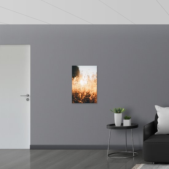 Dibond - Fel Zonlicht door Droge Grassen - 50x75 cm Foto op Aluminium (Met Ophangsysteem)