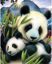 Denza - Diamond painting Panda beer baby panda 40 x 50 cm volledige bedrukking ronde steentjes direct leverbaar - voor volwassenen
