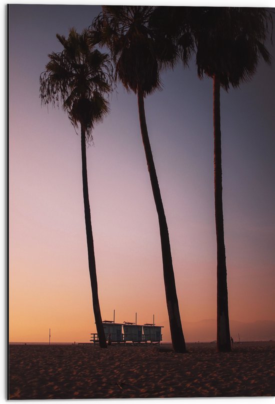 Dibond - Palmbomen op Strand met Roze Gele Lucht - 50x75 cm Foto op Aluminium (Met Ophangsysteem)