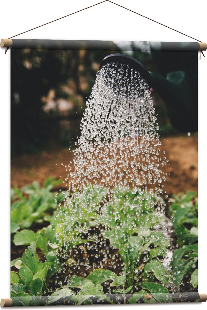 Textielposter - Planten Water Geven met Gieter - 60x80 cm Foto op Textiel