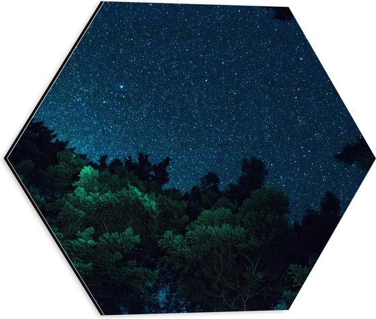 Dibond Hexagon - Sterrenhemel boven het Bos - 40x34.8 cm Foto op Hexagon (Met Ophangsysteem)