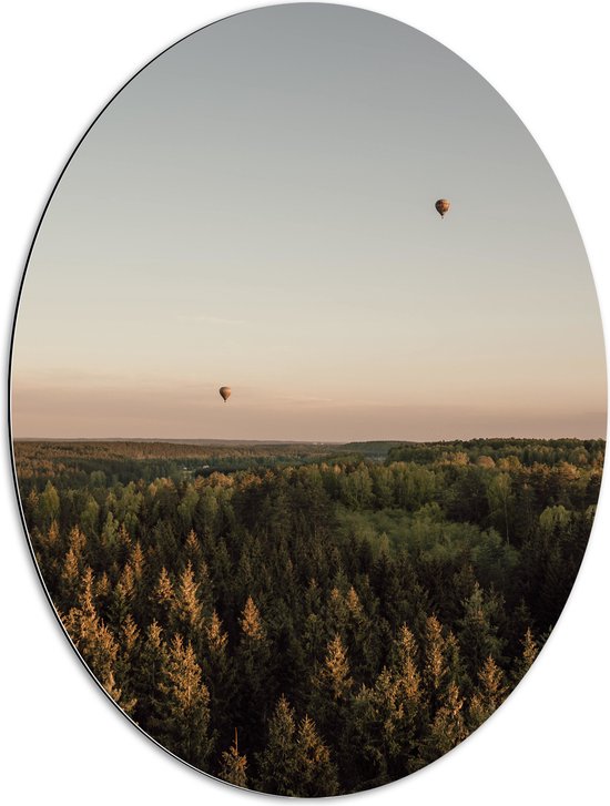 Dibond Ovaal - Luchtballonnen boven de Bossen - 60x80 cm Foto op Ovaal (Met Ophangsysteem)