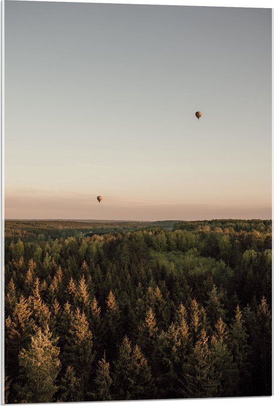 Acrylglas - Luchtballonnen boven de Bossen - 60x90 cm Foto op Acrylglas (Met Ophangsysteem)