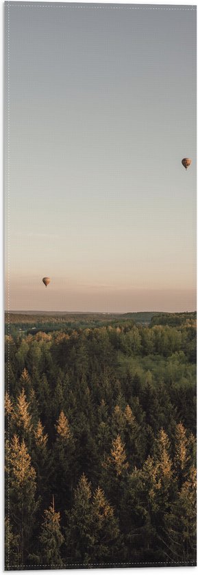 Vlag - Luchtballonnen boven de Bossen - 20x60 cm Foto op Polyester Vlag