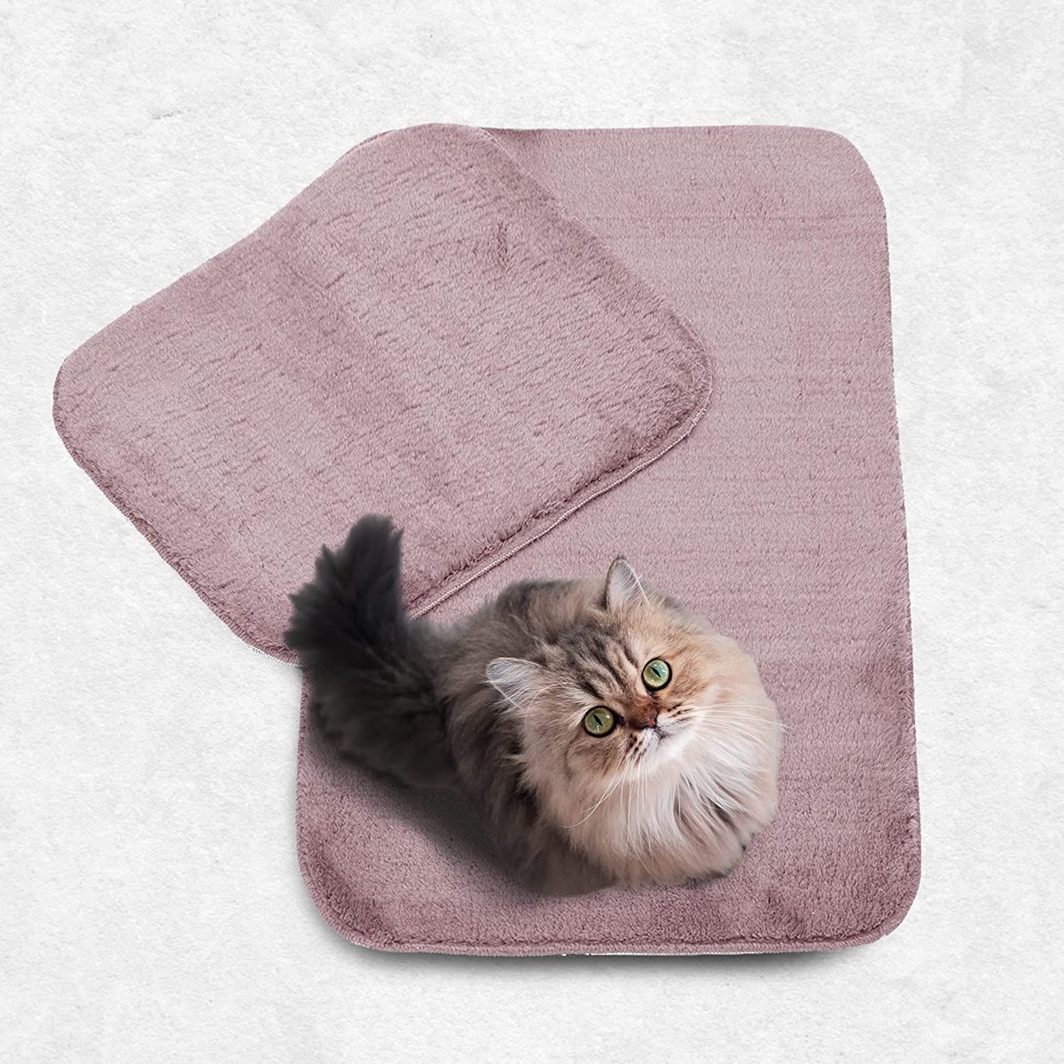 ELART Badmat, 2-delige badmat, 60 x 100 cm, wc-mat, 60 x 50 cm, badmatten, microvezel, absorberend, wasbaar douchemat (roze)