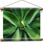 Textielposter - Groene Bladeren van een Plant - 40x30 cm Foto op Textiel