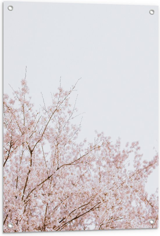 Tuinposter – Licht Roze Bloesem aan de Bomen - 60x80 cm Foto op Tuinposter (wanddecoratie voor buiten en binnen)