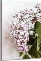 Hout - Kleine Roze met Witte Bloemen - 80x120 cm - 9 mm dik - Foto op Hout (Met Ophangsysteem)