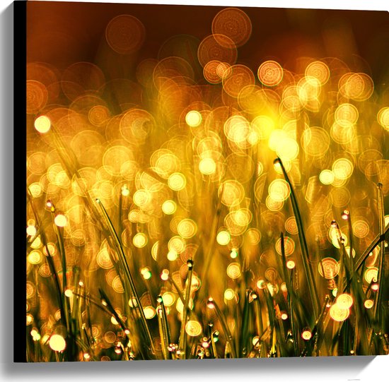 Canvas - Gras met Gouden Waterdruppels - 60x60 cm Foto op Canvas Schilderij (Wanddecoratie op Canvas)