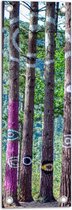 WallClassics - Tuinposter – Ogen geschilderd op Smalle Bomen - 20x60 cm Foto op Tuinposter (wanddecoratie voor buiten en binnen)