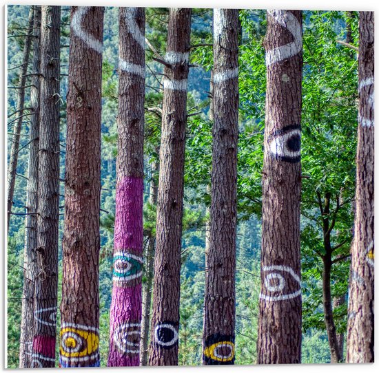 WallClassics - Panneau en mousse PVC - Yeux peints sur des Arbres étroits - Photo 50x50 cm sur panneau en mousse PVC