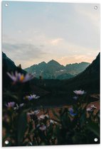 WallClassics - Tuinposter – Kleine Madeliefjes in Groot Berglandschap - 60x90 cm Foto op Tuinposter (wanddecoratie voor buiten en binnen)