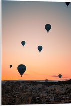 WallClassics - PVC Schuimplaat - Luchtballonnen boven Landschap met Zonsondergang - 50x75 cm Foto op PVC Schuimplaat (Met Ophangsysteem)