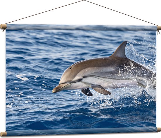 Textielposter - Springende Tevreden Dolfijn - 90x60 cm Foto op Textiel