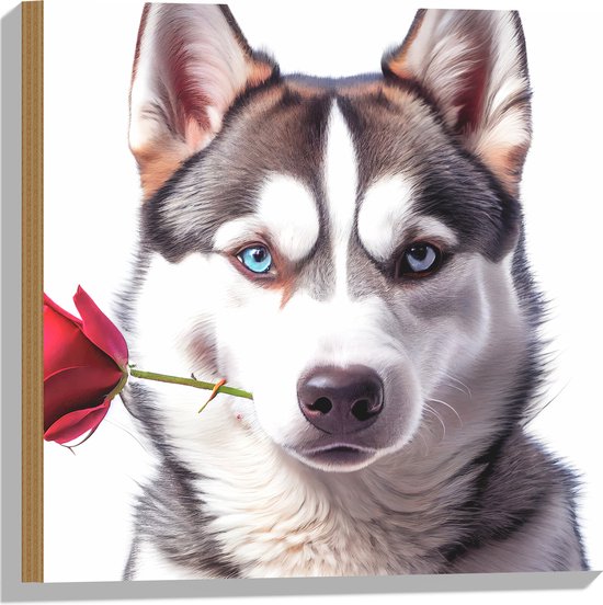 Hout - Romantische Husky Hond met Roos tegen Witte Achtegrond - 50x50 cm - 9 mm dik - Foto op Hout (Met Ophangsysteem)