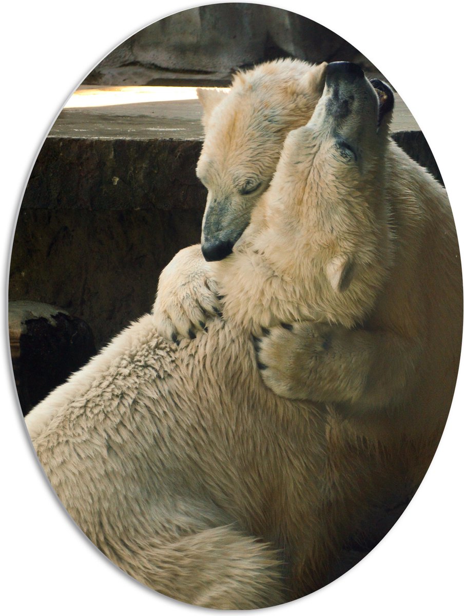 PVC Schuimplaat Ovaal - Twee Grote Knuffelende IJsberen - 72x96 cm Foto op Ovaal (Met Ophangsysteem)