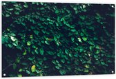 Tuinposter – Muur van Groene Bladeren - 120x80 cm Foto op Tuinposter (wanddecoratie voor buiten en binnen)
