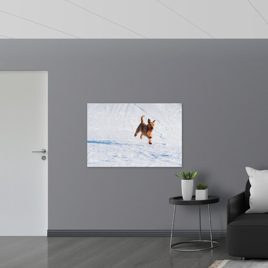 WallClassics - Drapeau - Chien marron courant dans la neige - 120x80 cm Photo sur drapeau polyester