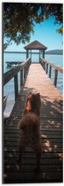 WallClassics - Dibond - Bruine Hond op Stijger Richting het Water - 20x60 cm Foto op Aluminium (Met Ophangsysteem)