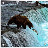 WallClassics - Tuinposter – Bruine Beer Happend naar Vis bij een Rivier met Waterval - 50x50 cm Foto op Tuinposter (wanddecoratie voor buiten en binnen)