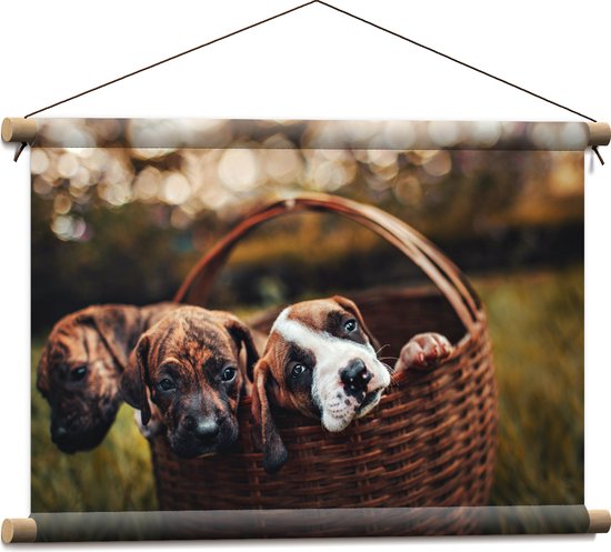 Textielposter - Drie Puppy's in Rieten Mandje in het Grasveld - 60x40 cm Foto op Textiel