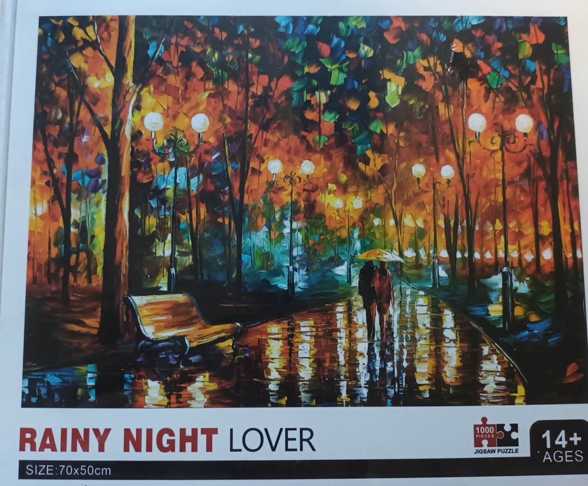 Puzzel 1000 stuks 70cm x 50cm - Rainy Night Lover