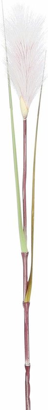 Mica Decorations - 3 st - Rietgras/pluimgras kunstplant losse steel/tak - groen/witte pluim - 72 cm