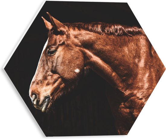 WallClassics - PVC Schuimplaat Hexagon - Zijaanzicht van Bruin Paard - 30x26.1 cm Foto op Hexagon (Met Ophangsysteem)
