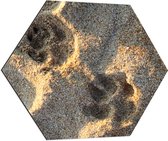 Dibond Hexagon - Hondenpootjes in Zand van Strand - 80x69.6 cm Foto op Hexagon (Met Ophangsysteem)