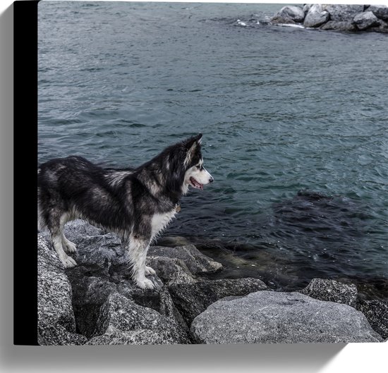 WallClassics - Canvas - Zwart Witte Husky starend naar Water - 30x30 cm Foto op Canvas Schilderij (Wanddecoratie op Canvas)