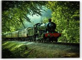 WallClassics - Acrylglas - Stoomtrein op Rails in het Bos - 40x30 cm Foto op Acrylglas (Met Ophangsysteem)