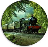 WallClassics - Dibond Muurcirkel - Stoomtrein op Rails in het Bos - 40x40 cm Foto op Aluminium Muurcirkel (met ophangsysteem)