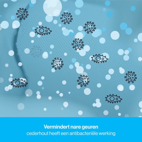 No Sweat is exclusief importeur van de cederhouten inlegzolen van Zederna
