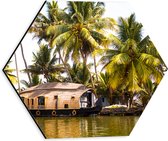 Dibond Hexagon - Vakantieplek onder Palmbomen aan het Water - 30x26.1 cm Foto op Hexagon (Met Ophangsysteem)