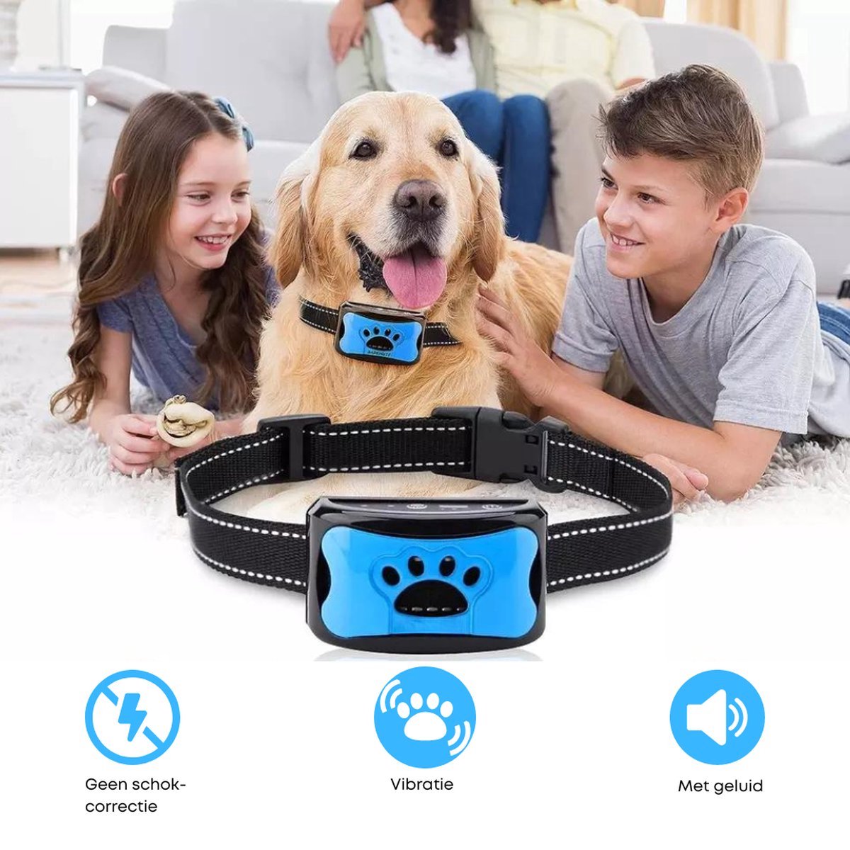 Pets Collier antiaboiements Collier antiaboiements pour Chiens