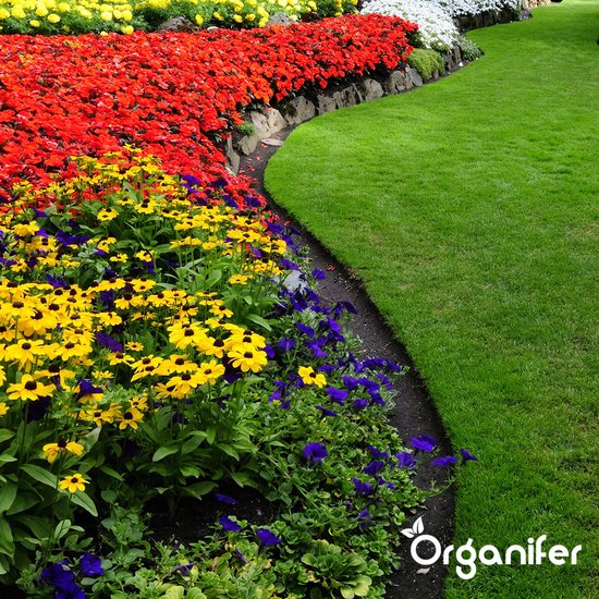 Een bloembed met gele, paarse en rode bloemen naast een groen gazon.