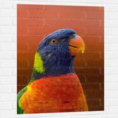 WallClassics - Muursticker - Blijkijkende Papegaai met Felle Kleuren - 75x100 cm Foto op Muursticker