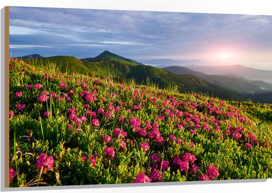 Hout - Zon Verdwijnend Achter Bergen bij Roze Bloemenveld - 120x80 cm - 9 mm dik - Foto op Hout (Met Ophangsysteem)