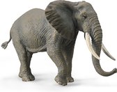 Collecta Animaux sauvages (XL) : ÉLÉPHANT D'AFRIQUE 18,5x11cm