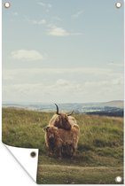 Tuindecoratie Schotse Hooglanders - Gras - Wolken - Dieren - 40x60 cm - Tuinposter - Tuindoek - Buitenposter