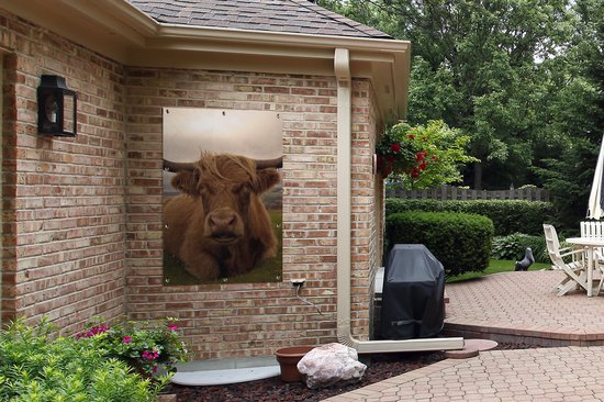 Affiche de jardin - Toile de jardin - Posters de jardin extérieures - Highlander écossais - Animaux - Berg - 80x120 cm - Jardin