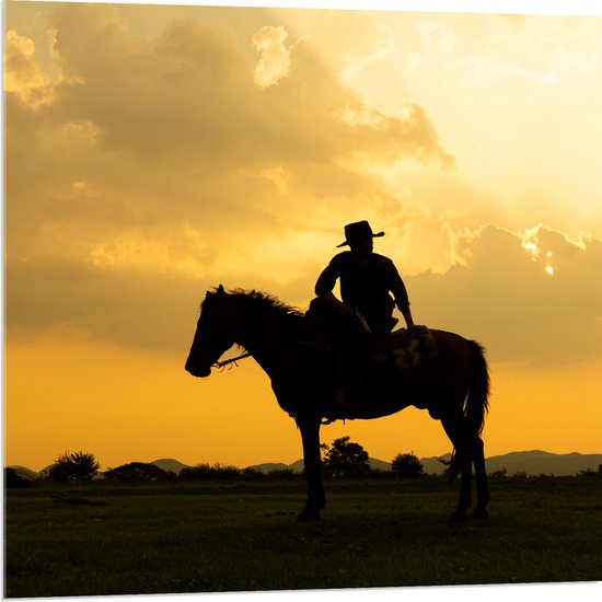 Acrylglas - Silhouet van Cowboy op zijn Paard tijdens Mooie Zomerse Zonsondergang - 80x80 cm Foto op Acrylglas (Wanddecoratie op Acrylaat)