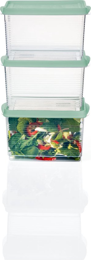 Navaris meal prep bakjes - Vershoudbakjes van kunststof - 2x vershouddoos met deksel - Inhoud 4,8 en 9 liter - Geschikt voor vriezer en magnetron