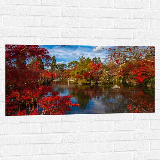 Muursticker - Rode Bladeren bij het Water - 100x50 cm Foto op Muursticker