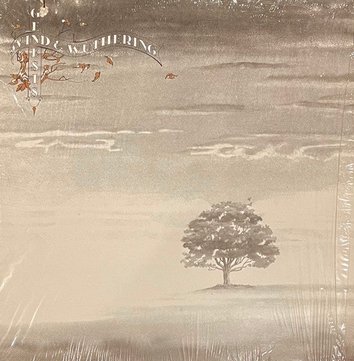 Genesis Wind & Wuthering (LP + Download) (Reissue), Genesis Muziek bol