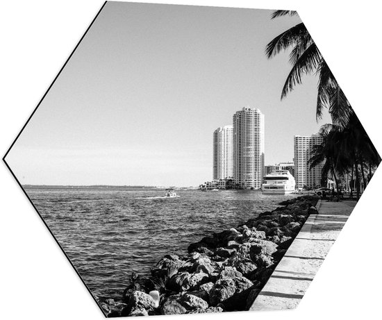 Dibond Hexagon - Palmbomen op het Strand met Uitzicht op Hoge Gebouwen Zwart/Wit - 70x60.9 cm Foto op Hexagon (Met Ophangsysteem)